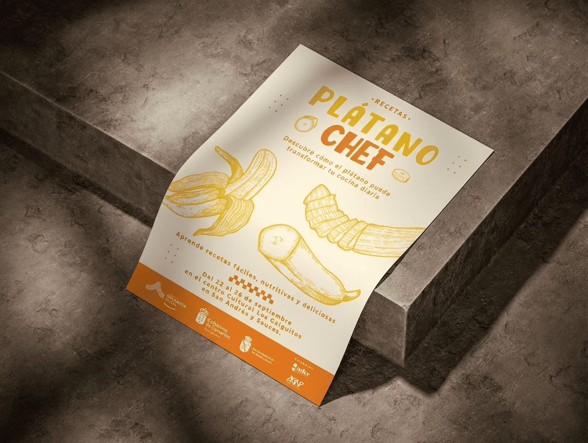 Cartelería desarrollada para ADER La Palma