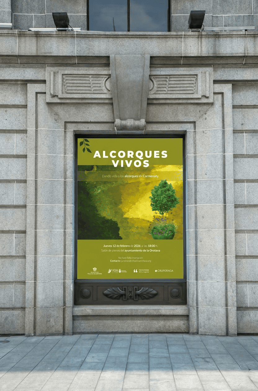 Ayuntamiento de La Orotava imagen 1