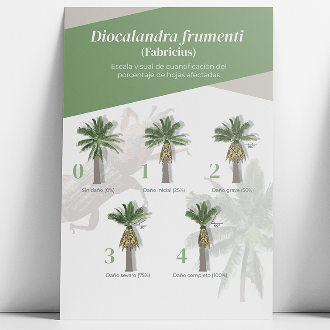 Diseño para soportes digitales