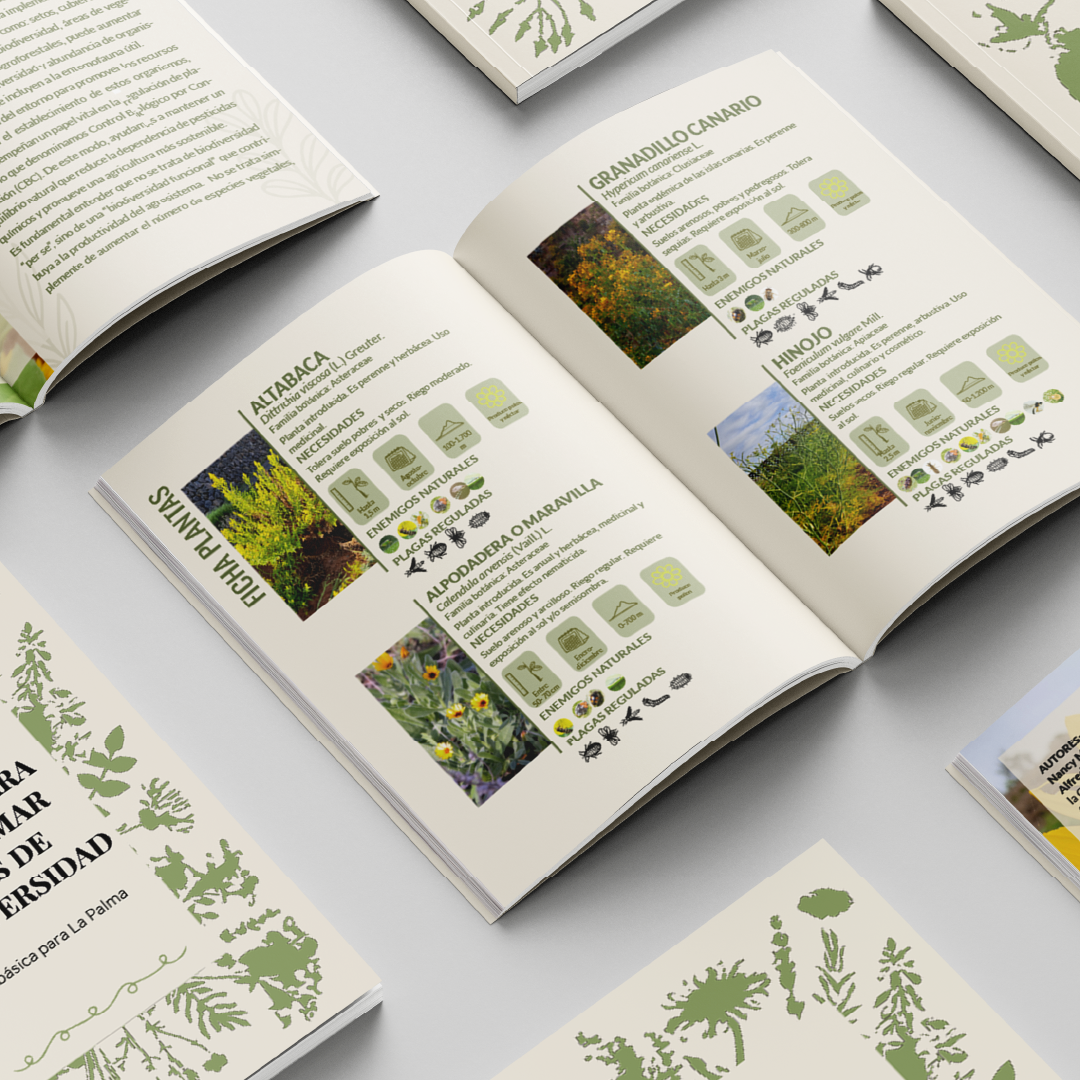 Ejemplo de proyecto de desarrollo web